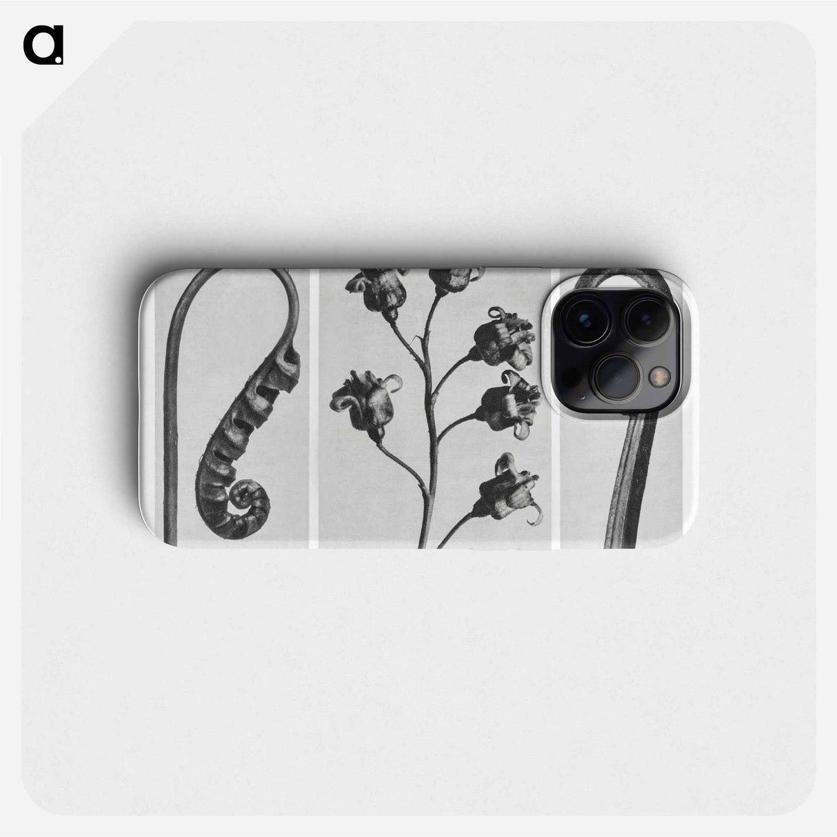 Polypodium Vulgare - カール ブロスフェルト Phone Case.