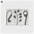 1-25_Karl-Blossfeldt_postcard