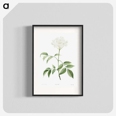 1-25_La-Botanique_blk