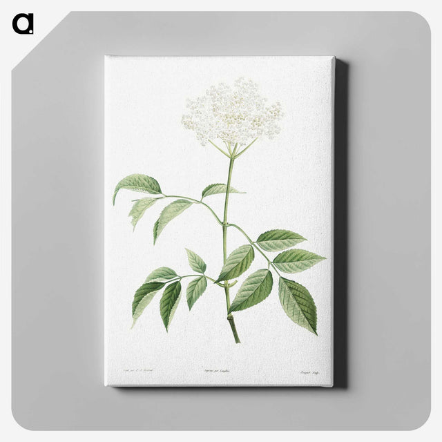 1-25_La-Botanique_canvas