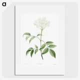 1-25_La-Botanique_picture