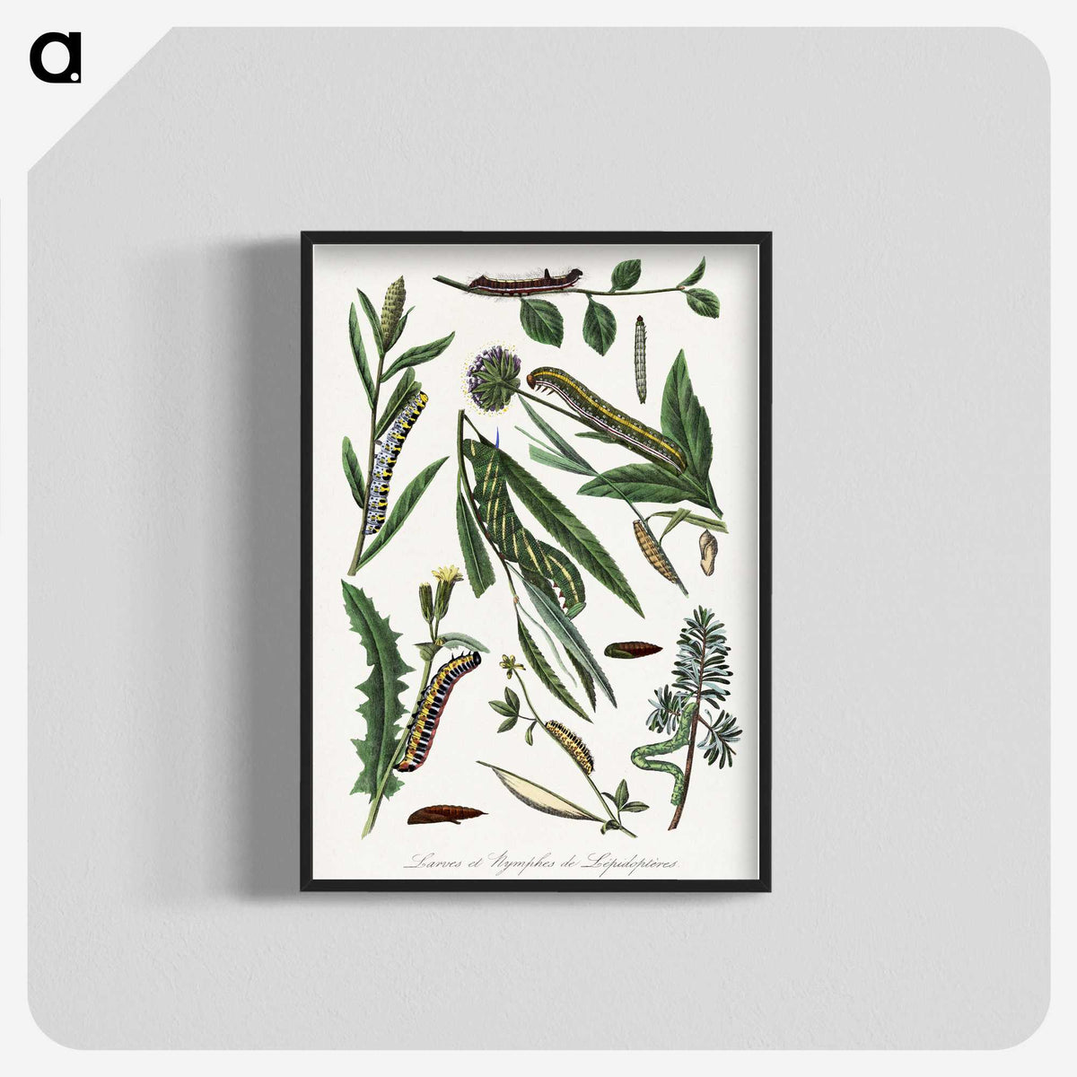 1-25_Le-Jardin-des-Plantes_blk-crop