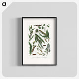 1-25_Le-Jardin-des-Plantes_blk