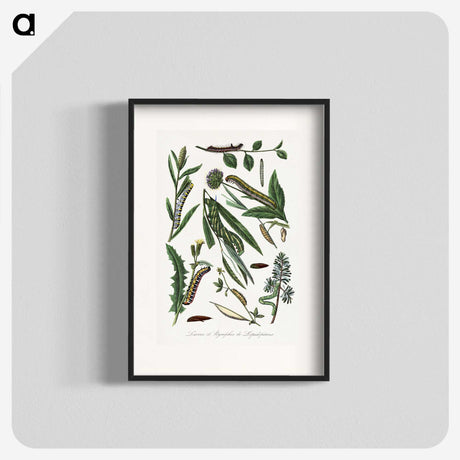 1-25_Le-Jardin-des-Plantes_blk
