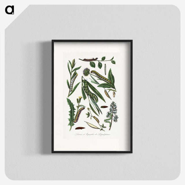 1-25_Le-Jardin-des-Plantes_blk