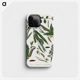 1-25_Le-Jardin-des-Plantes_phone