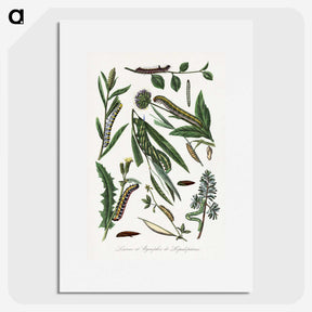 1-25_Le-Jardin-des-Plantes_picture