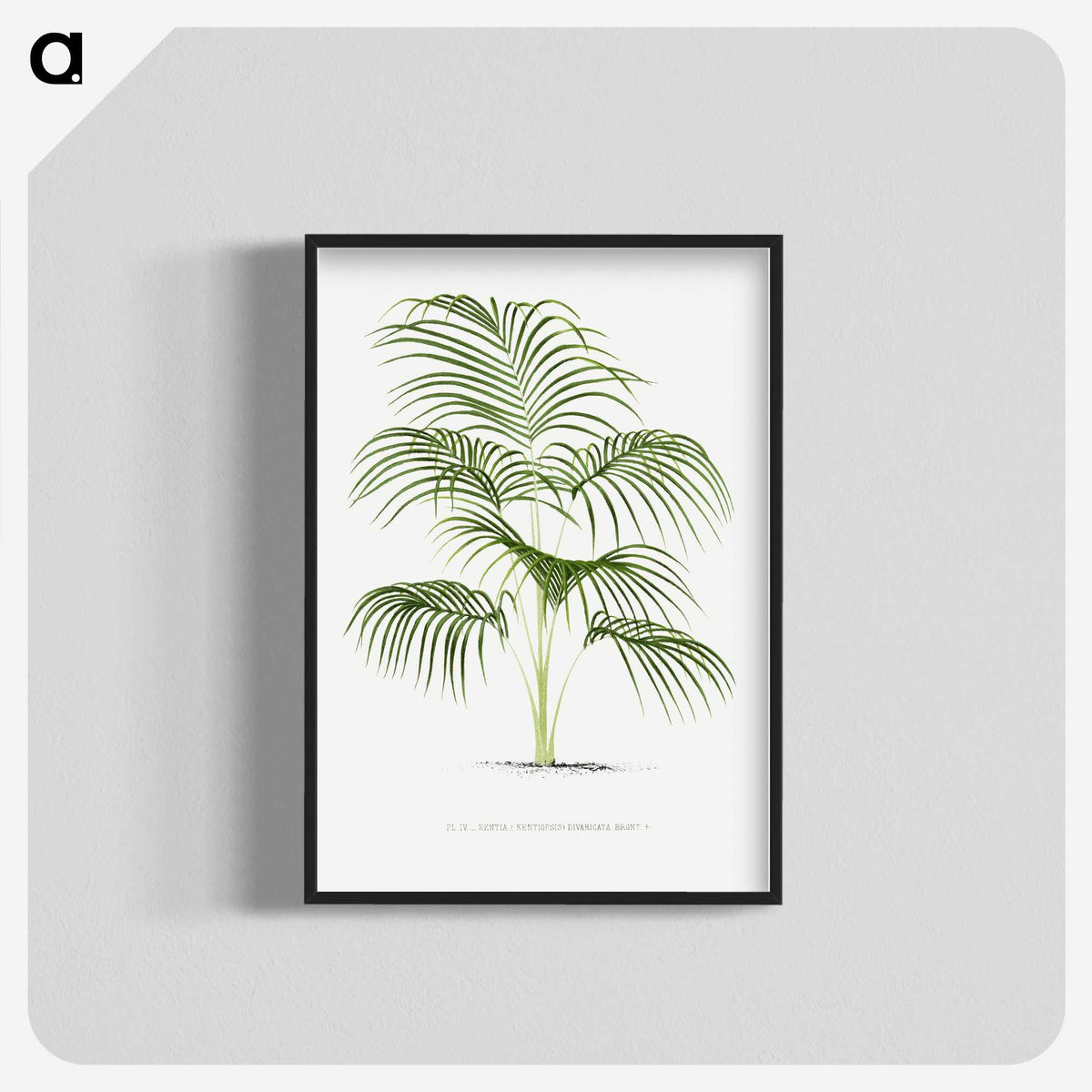 1-25_Les-Palmiers-Histoire-Iconographique_blk-crop