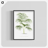 1-25_Les-Palmiers-Histoire-Iconographique_blk-crop