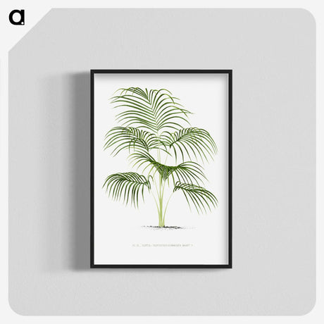 1-25_Les-Palmiers-Histoire-Iconographique_blk-crop
