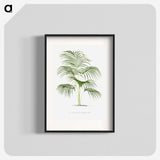 1-25_Les-Palmiers-Histoire-Iconographique_blk