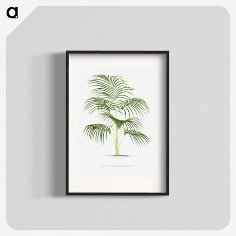 1-25_Les-Palmiers-Histoire-Iconographique_blk