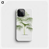 1-25_Les-Palmiers-Histoire-Iconographique_phone