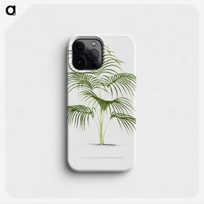 1-25_Les-Palmiers-Histoire-Iconographique_phone