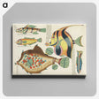 1-25_Louis-Renard_canvas