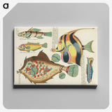 1-25_Louis-Renard_canvas