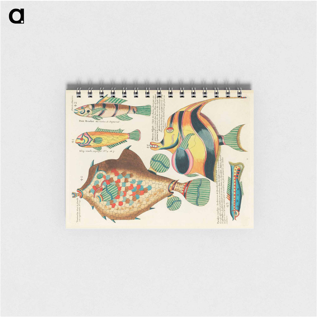 Moluccan Fishes
 - ルイ ルナール Memo.