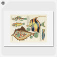 1-25_Louis-Renard_picture
