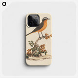 Cassypha semirufa
 - ルイージ バルガーニ Phone Case.