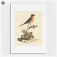 1-25_Luigi-Balugani_picture