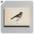 1-25_Magnus-von-Wright_canvas