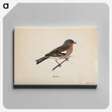 1-25_Magnus-von-Wright_canvas