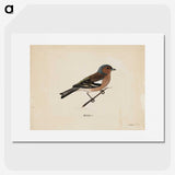 1-25_Magnus-von-Wright_picture