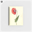 アートメモ帳-Papaver somniferum
 - マリア ジビーラ メーリアン Memo.