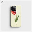 1-25_Maria-Sibylla-Merian_phone