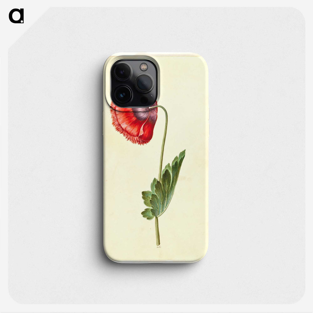 1-25_Maria-Sibylla-Merian_phone