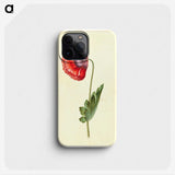 1-25_Maria-Sibylla-Merian_phone