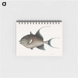 1-25_Mark-Catesby_memo