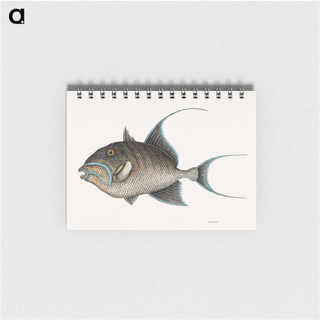 1-25_Mark-Catesby_memo
