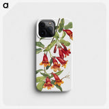 1-25_Mary-Vaux-Walcott_phone