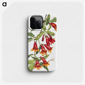 1-25_Mary-Vaux-Walcott_phone