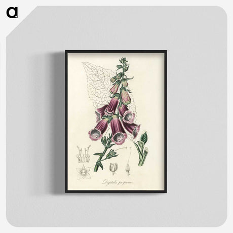 1-25_Medical-Botany_blk-crop