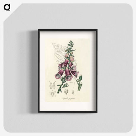 1-25_Medical-Botany_blk