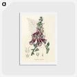 1-25_Medical-Botany_hagaki