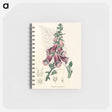 アートメモ帳-Digitalis purpurea Illustration
 - 薬用植物学 Memo.