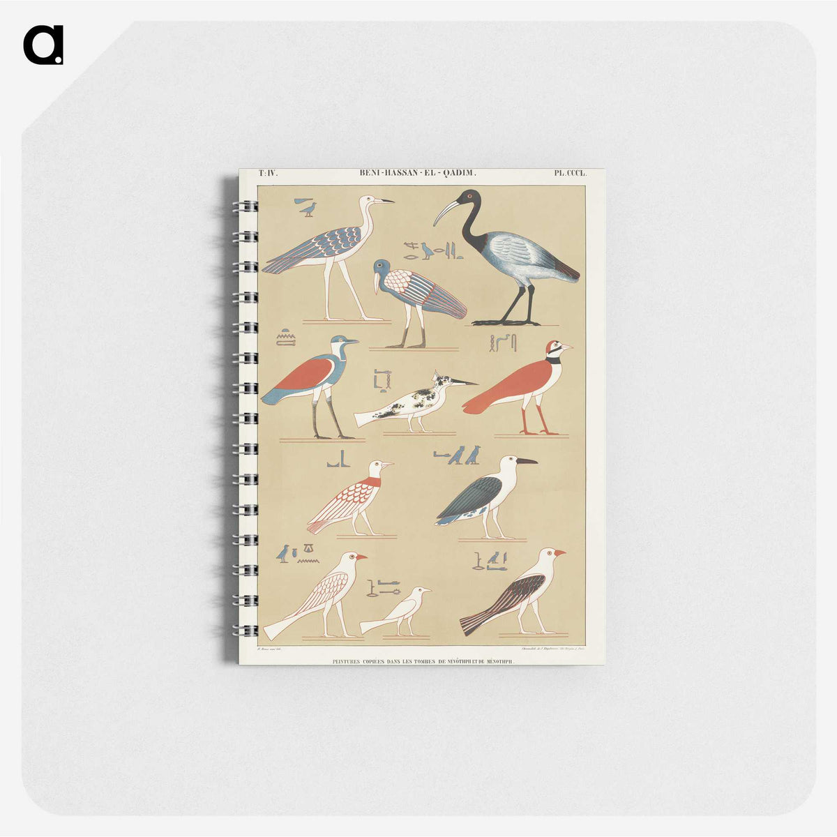 1-25_Monuments-of-Egypt-and-Nubia_memo
