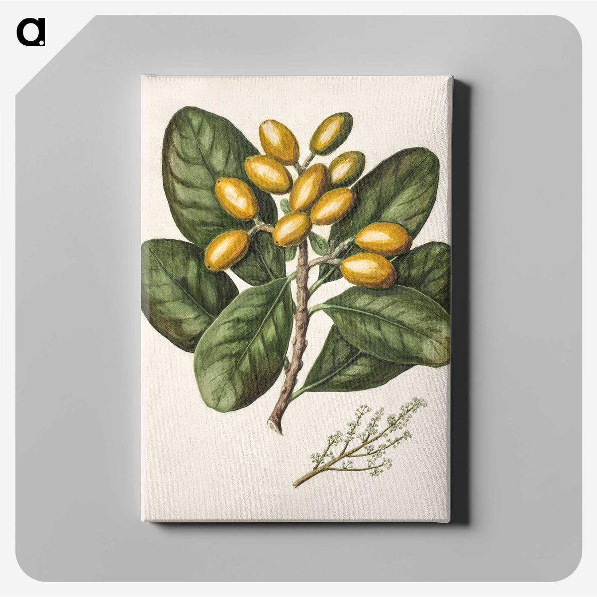 1-25_Native-Flowering-Plants-of-New-Zealand_canvas