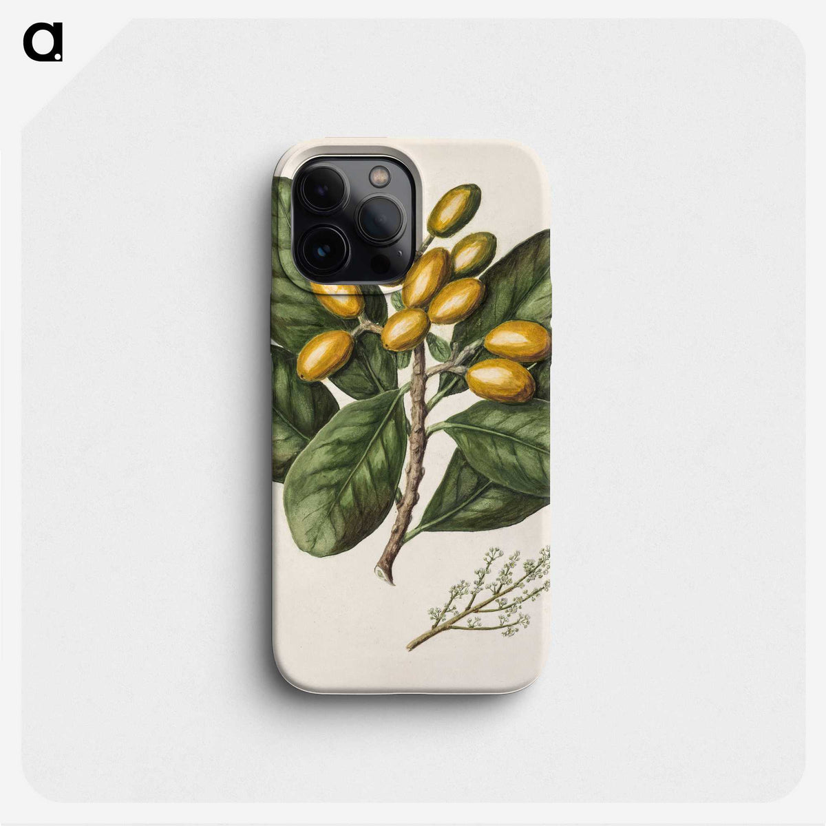 1-25_Native-Flowering-Plants-of-New-Zealand_phone