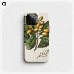 1-25_Native-Flowering-Plants-of-New-Zealand_phone