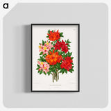 1-25_Nederlandsche-Flora-en-Pomona_blk-crop