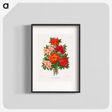 1-25_Nederlandsche-Flora-en-Pomona_blk