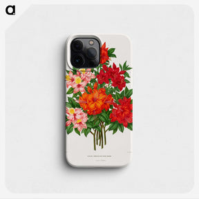 1-25_Nederlandsche-Flora-en-Pomona_phone