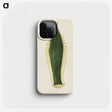 1-25_New-and-Rare-Beautiful-Leaved-Plants_phone