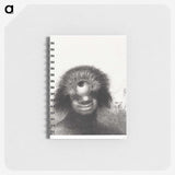 1-25_Odilon-Redon_memo
