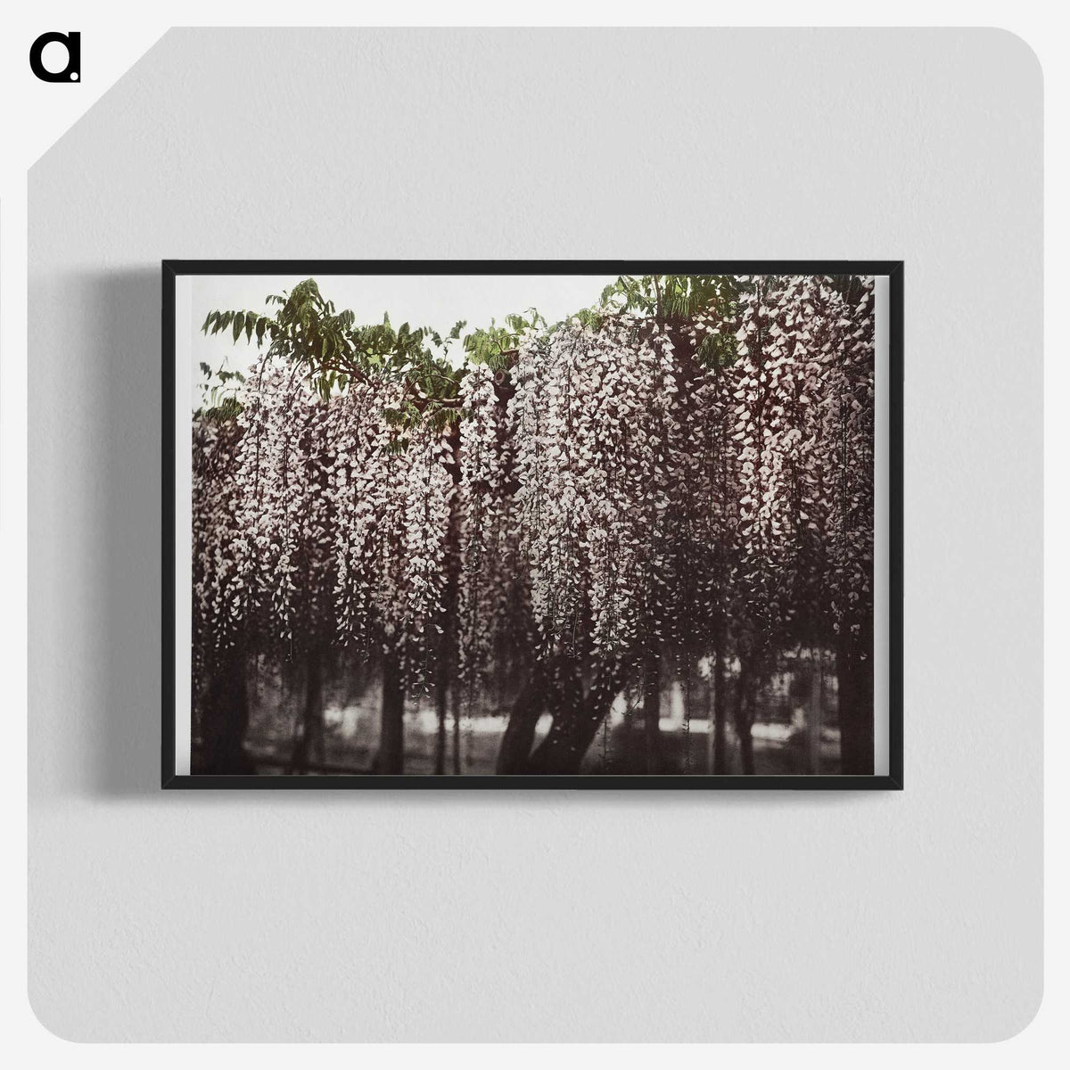 1-25_Ogawa-Kazumasa_blk-crop