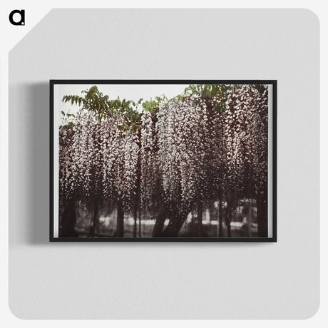 1-25_Ogawa-Kazumasa_blk-crop